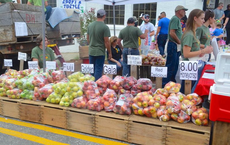 Mountain Harvest at Brushy Mountain Apple Festival