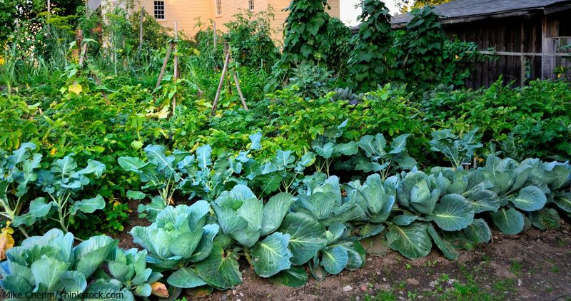 The Gardens Are Straight Out of the 18th Century
