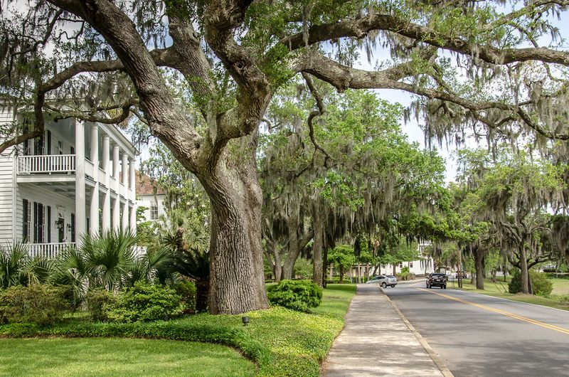 Romance of Spanish Moss