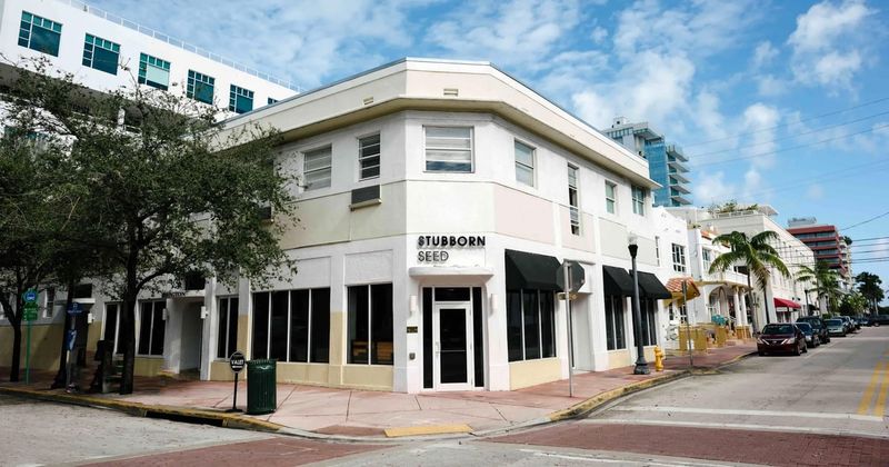 Stubborn Seed (South Beach)