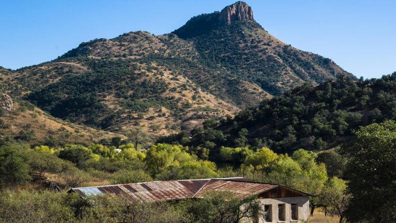 Ruby – The Desert’s Forgotten Treasure