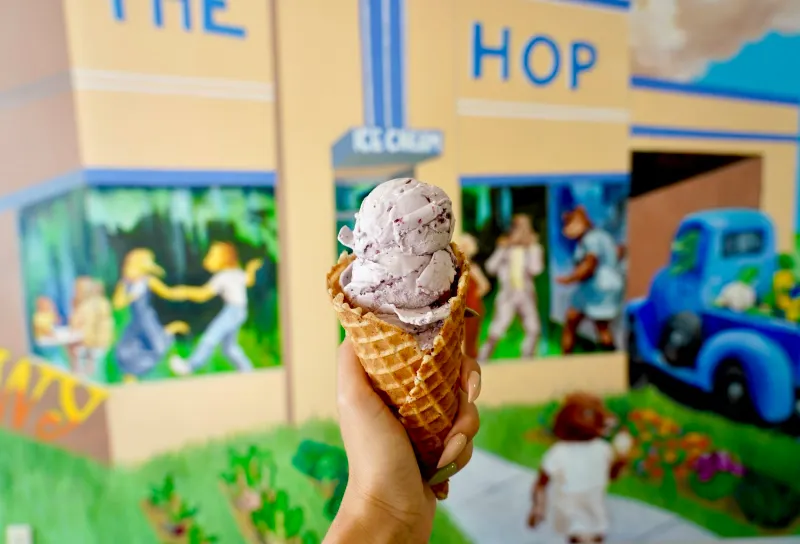 The Hop — Asheville