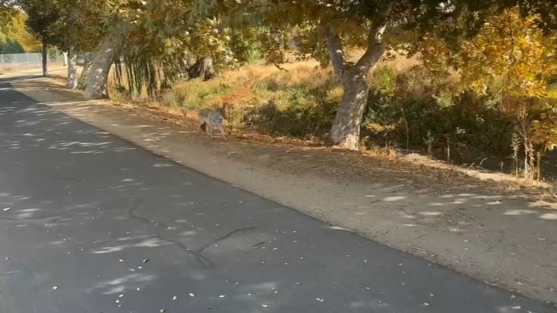 Dry Creek Trail – Clovis