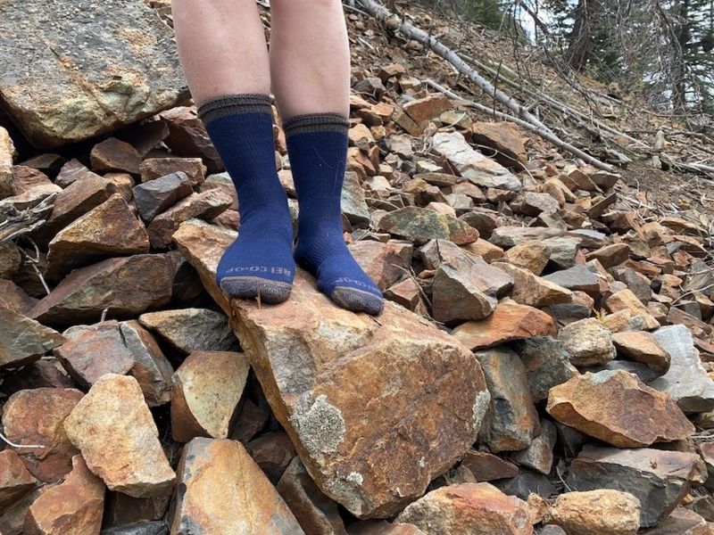 REI Co-op Merino Wool Lightweight Hiking Crew