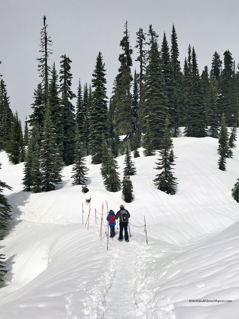 Nisqually Vista Loop (Paradise) — Mount Rainier National Park, Washington