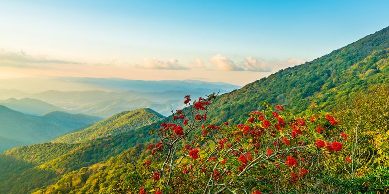 Craggy Pinnacle — Blue Ridge Parkway, North Carolina