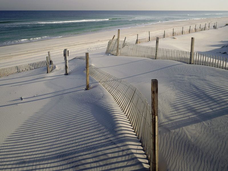 Island Beach State Park (less crowded sections)