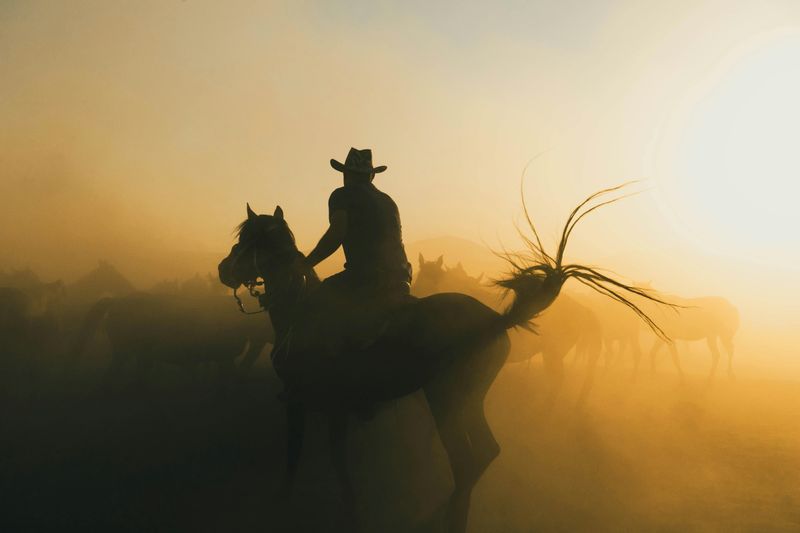 Weekley Brothers Davie Pro Rodeo: An Award-Winning Show