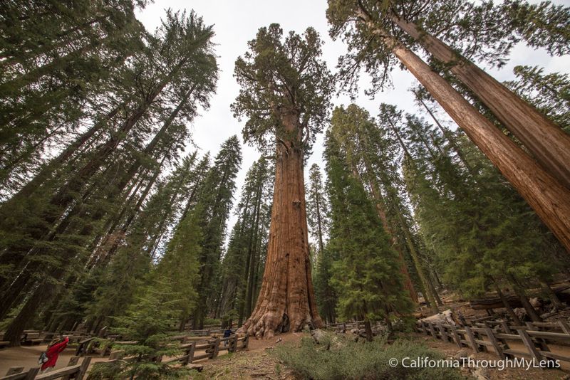 Sequoia & Kings Canyon National Parks (CA-99 → CA-198) — 220–260 miles