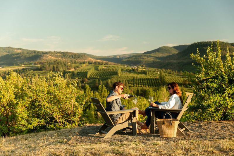 Sip Local Wines — Mosier's Wineries