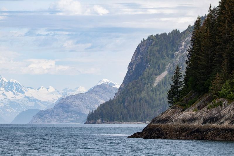 Home to Bartlett Cove