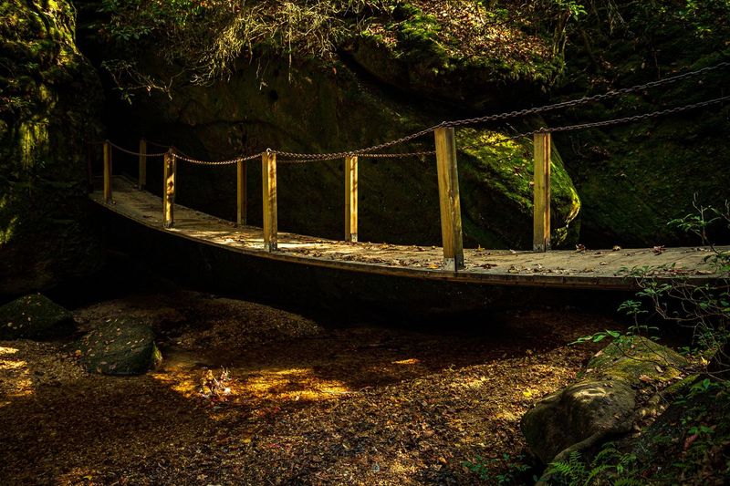 Dismals Canyon (Glow-worm 