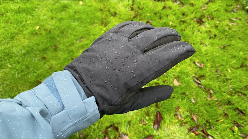 Sealskinz Waterproof Cold Weather Gloves