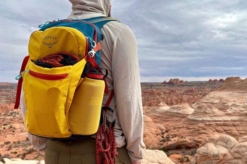 Osprey Daylite Plus (Daypack, ~20L class)