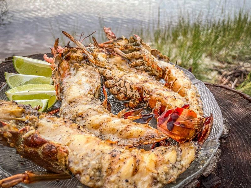 Florida Lobster (Spiny Lobster)