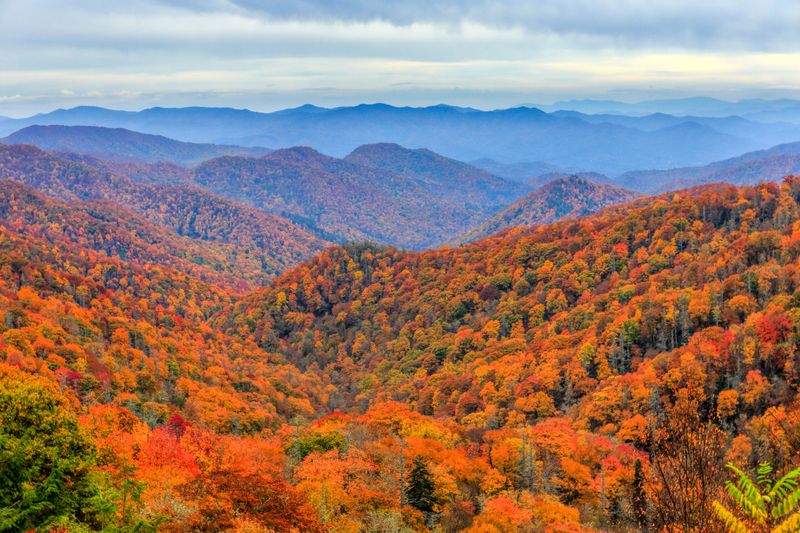 Great Smoky Mountains National Park (TN/NC)
