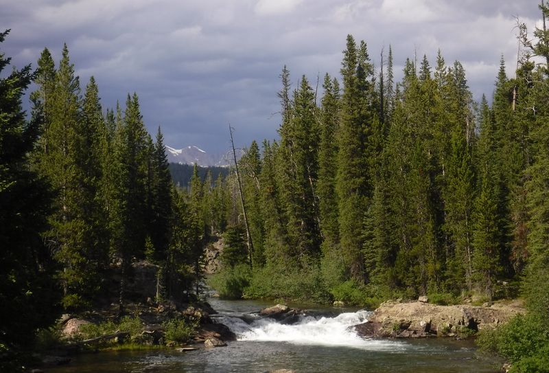 Gallatin National Forest