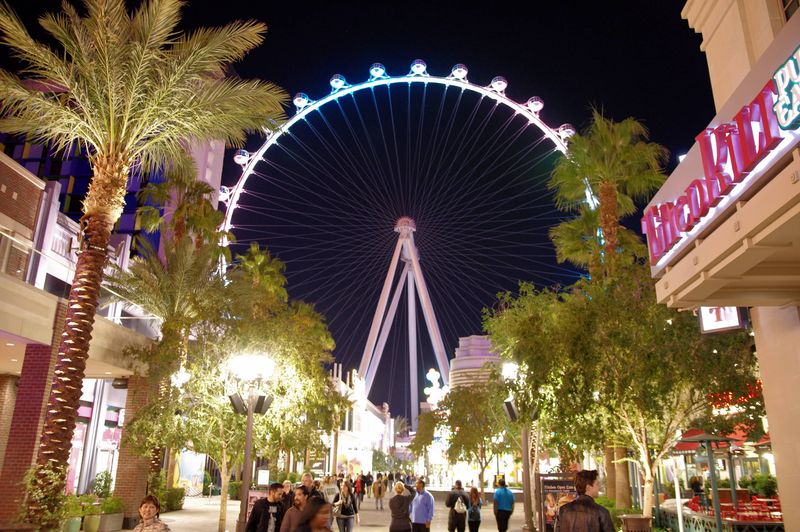Soar on the High Roller