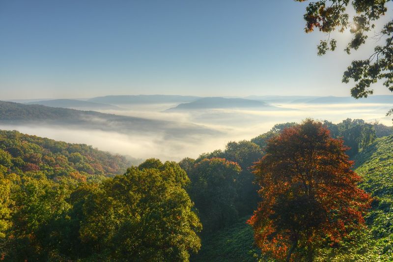 Ozark National Forest (Arkansas)