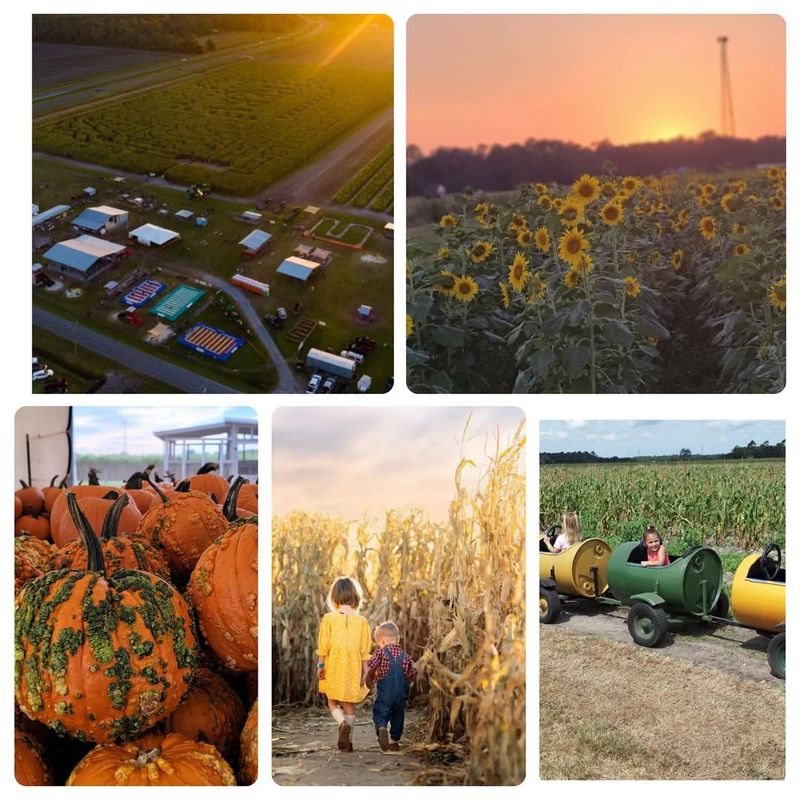 Enjoy Multiple Included Attractions Beyond the Maze