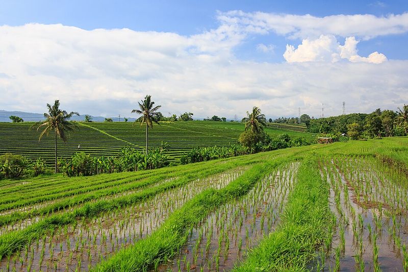 Indonesia (Beyond Bali)