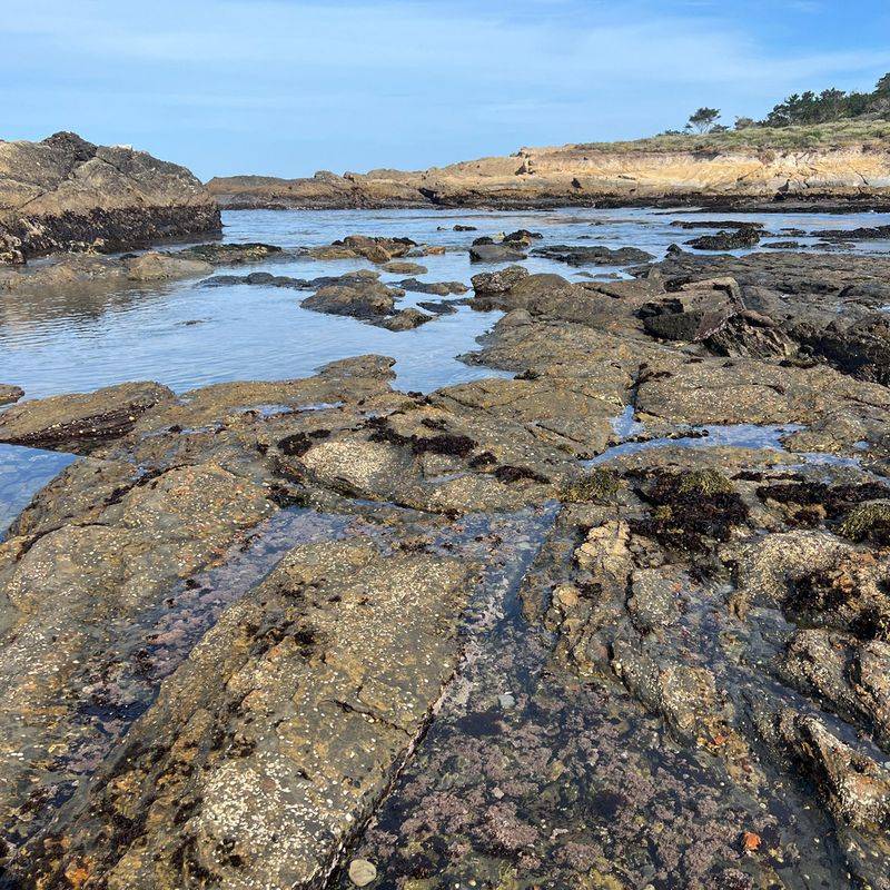 Point Lobos (Weston Beach), Carmel/Monterey, California
