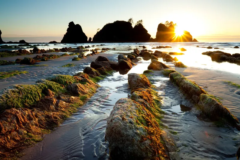 Shi Shi Beach to Point of the Arches, Olympic National Park — Washington