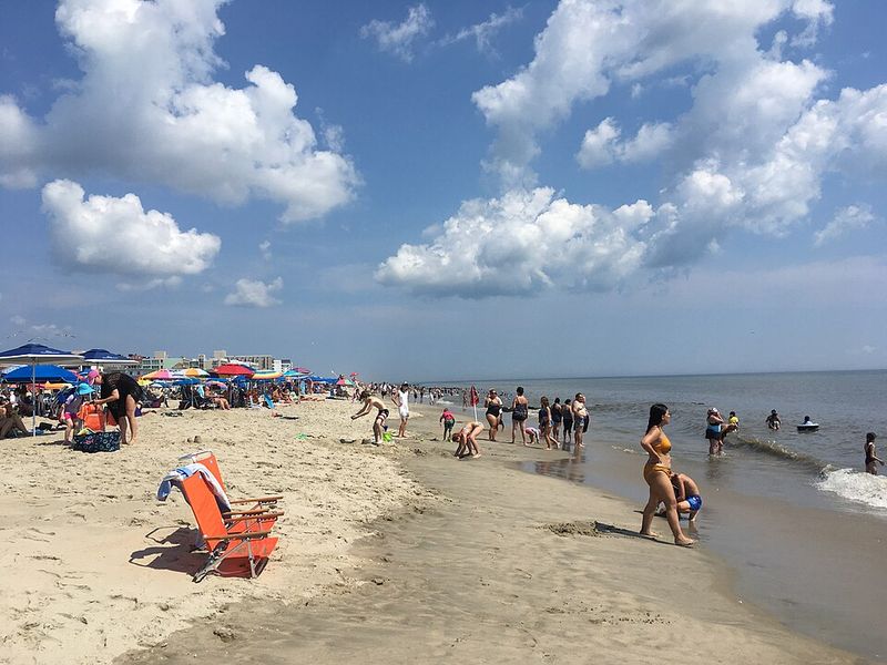 Rehoboth Beach, DE — Egg