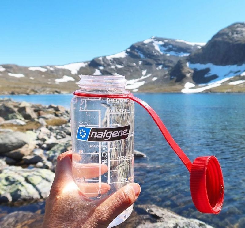 Nalgene 32-oz Wide-Mouth Bottle — ~$13–$17