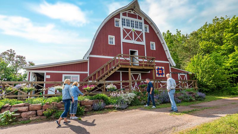 Bountiful Berry Farms