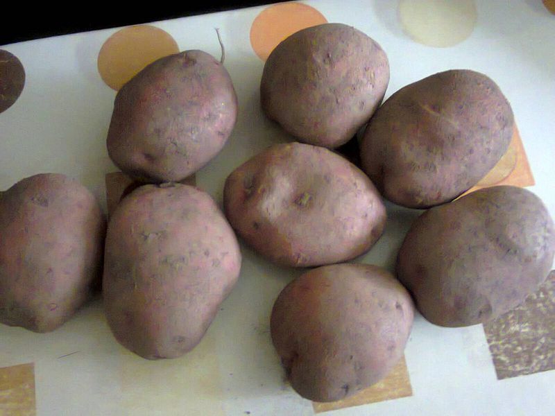 Potatoes