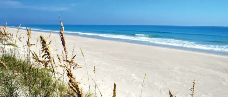 Canaveral National Seashore – Undeveloped Atlantic Paradise