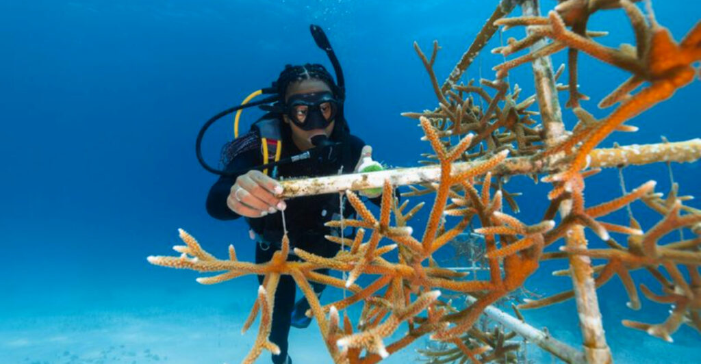Color-Fading Oceans: Coral Reefs Cross the Point of No Return