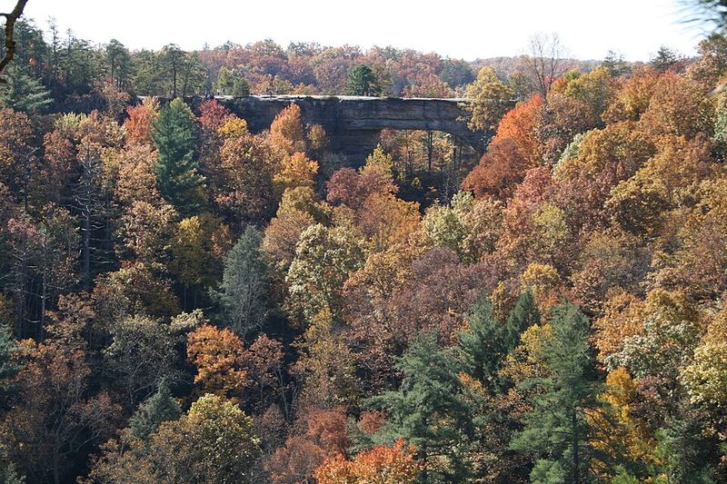 Natural Bridge State Resort Park — iconic arch & forest trails