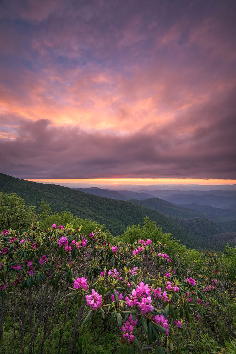 Craggy Gardens Picnic Area (MP 367.6, NC)