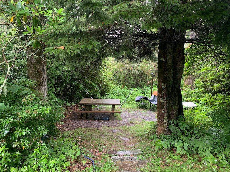 Mount Pisgah Picnic Area (MP 407.8, NC)