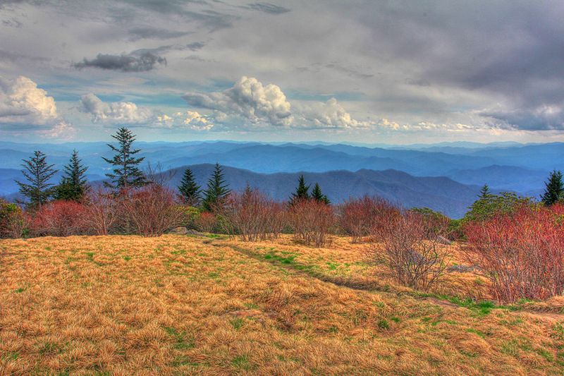 Andrews Bald — Great Smoky Mountains National Park (TN/NC)