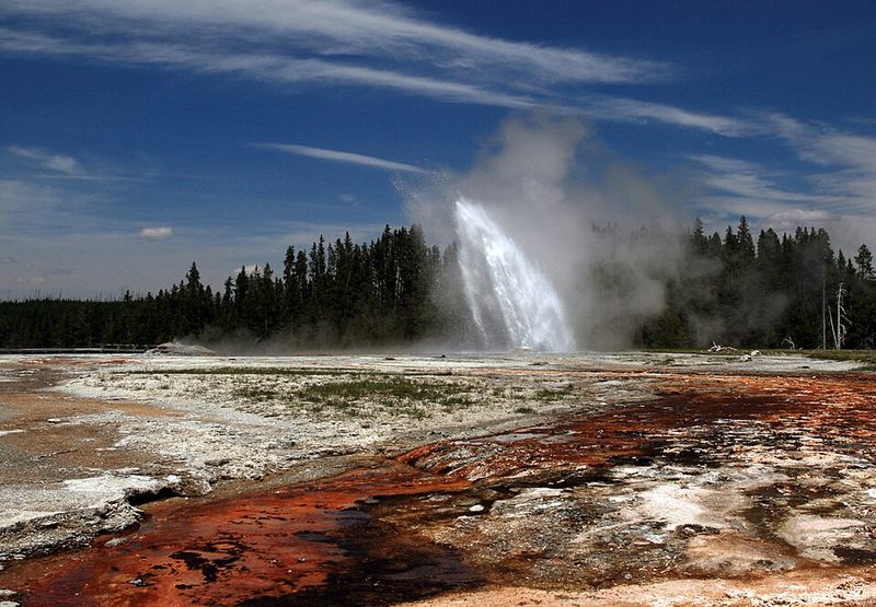 Yellowstone's Harsh Reality