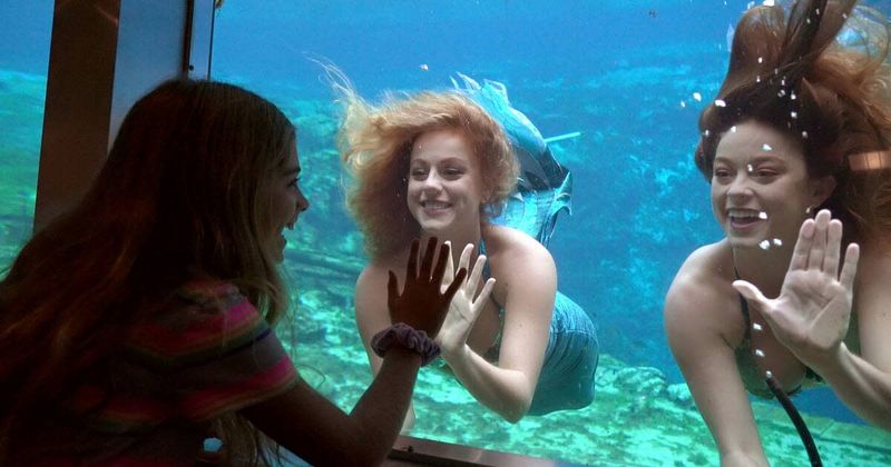 Weeki Wachee Springs – Mermaids and River Adventures