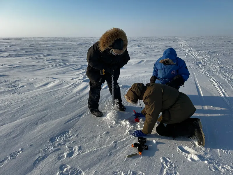 Lessons from a Frozen Dream