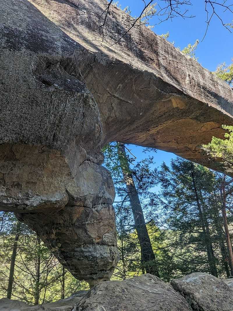 Red River Gorge Geological Area — arches, cliffs & wilderness quiet
