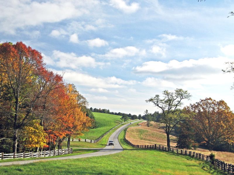 Doughton Park Picnic Area (MP 241.1, NC)