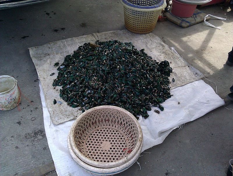 Street Shellfish – Thailand
