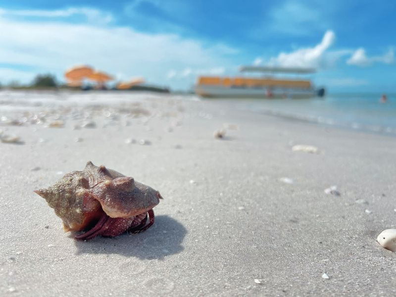 North Captiva Island, Florida