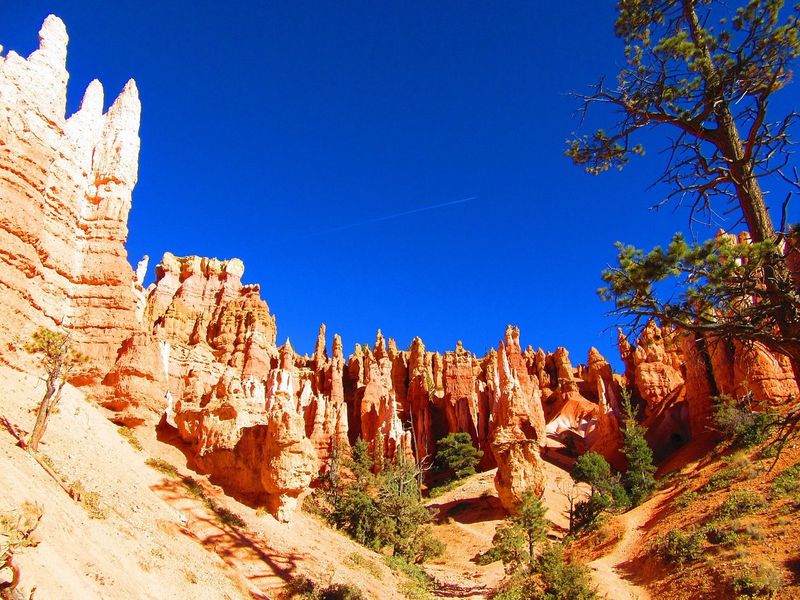 Queen's Garden + Navajo Loop (Combination) — Bryce Canyon National Park, UT