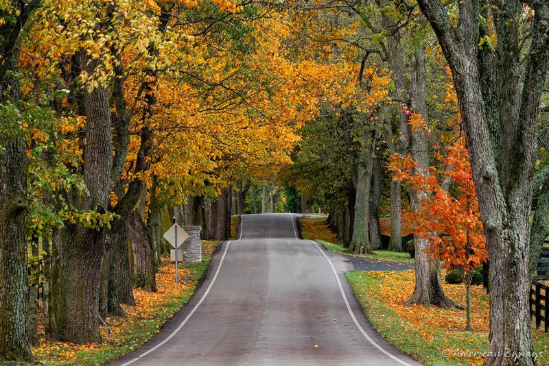 Pisgah Road Loop - Versailles