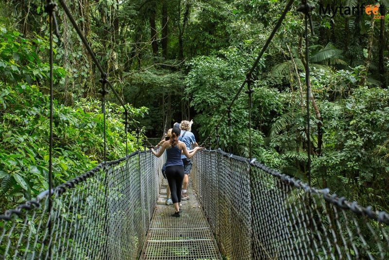 Mistico Arenal Hanging Bridges