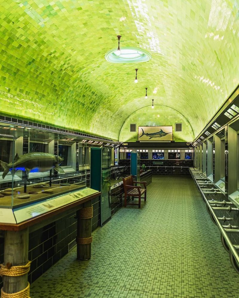 Belle Isle Aquarium (Detroit)