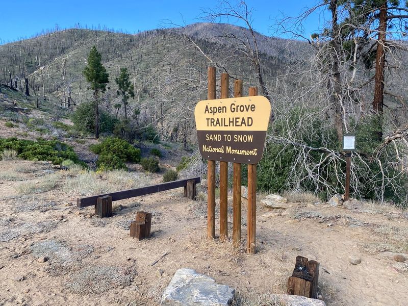 Master the Aspen Grove Trail Access
