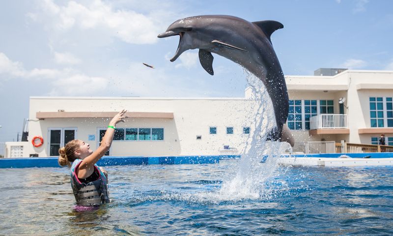 Marineland of Florida - St. Augustine